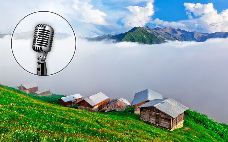 Voiceover